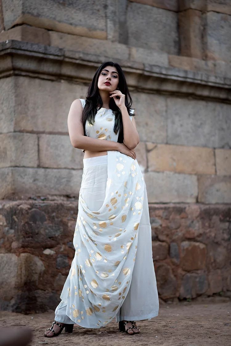 Copy of Grey Pant Saree