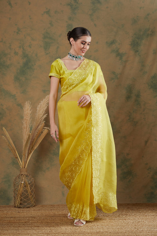 Lime Saree (Set of 2)